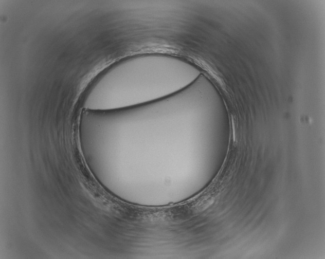 X0000076380675200610060927