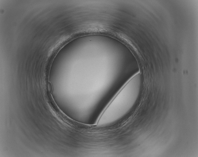 X0000076380677200610060926