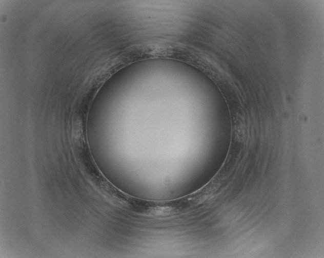 X0000076380748200610060925