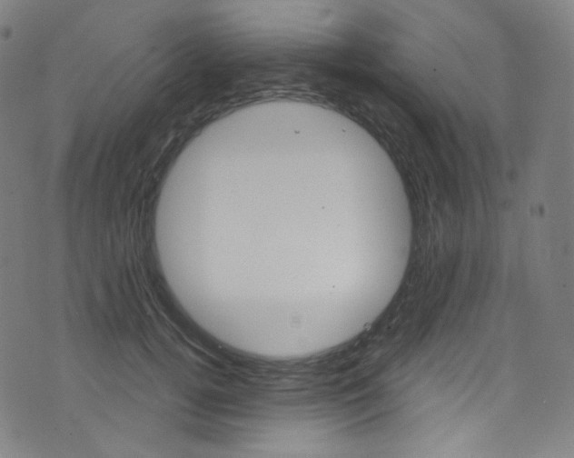 X0000076380752200610060925