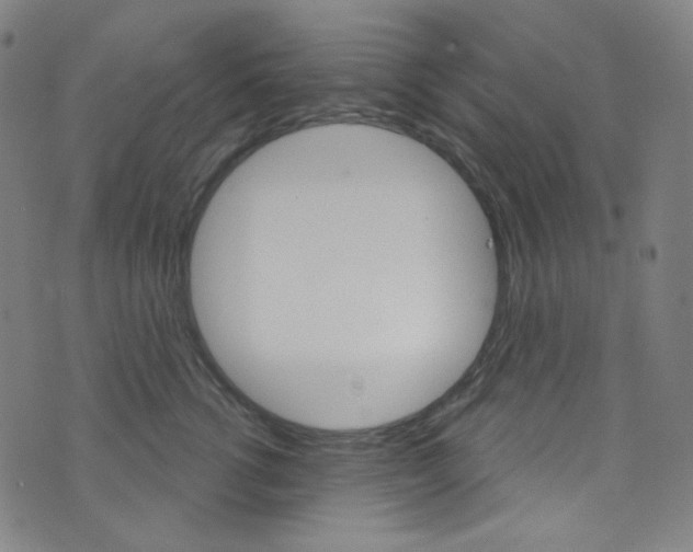 X0000076380762200610060926