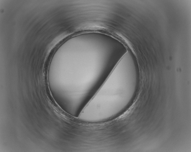 X0000076380779200610060925