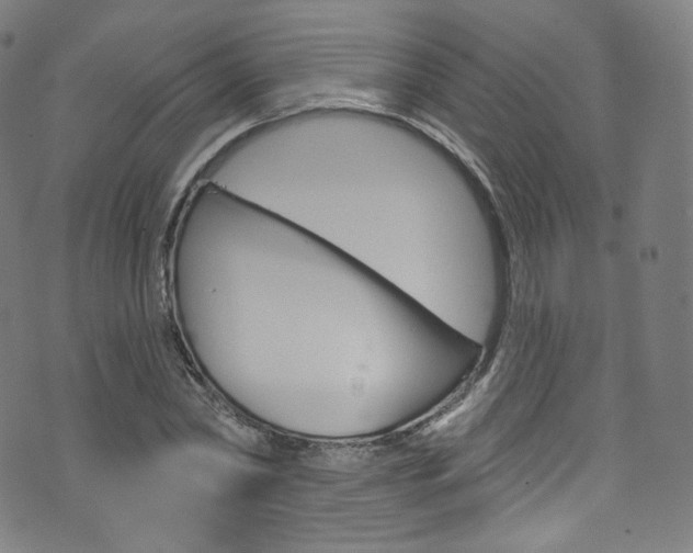 X0000076380782200610060925