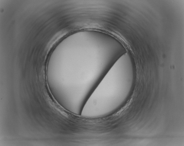 X0000076380790200610060925