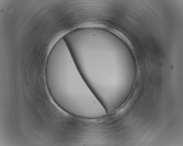 X0000076380855200610060924