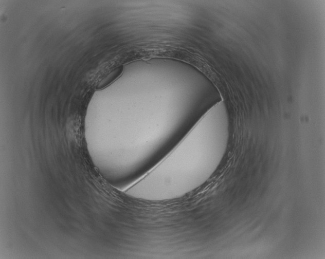 X0000076380867200610060923