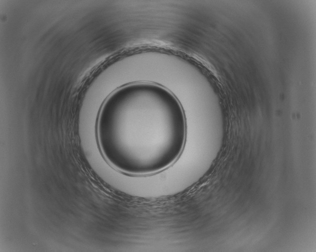 X0000076380872200610060923