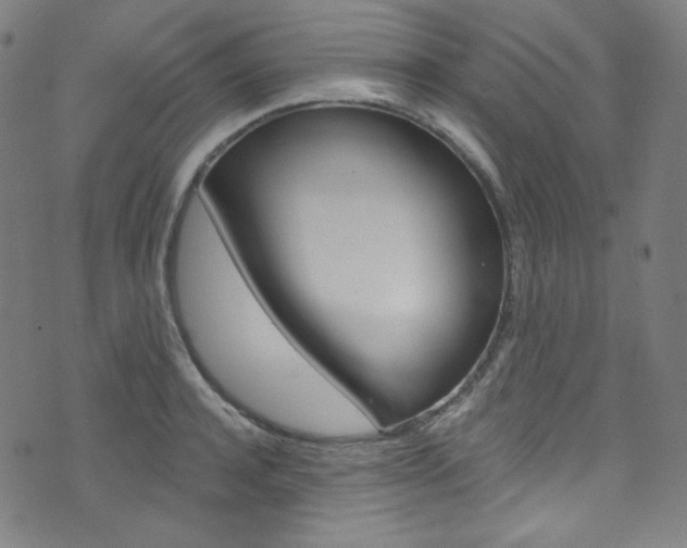 X0000076380944200610060922