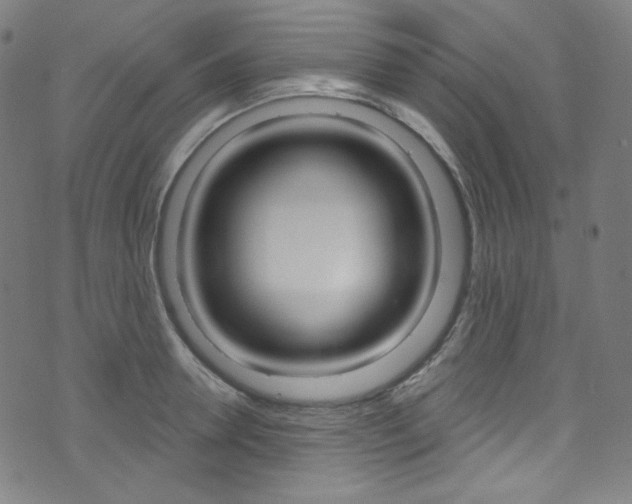 X0000076380946200610060922