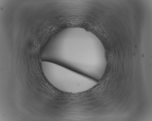 X0000076381009200610060920