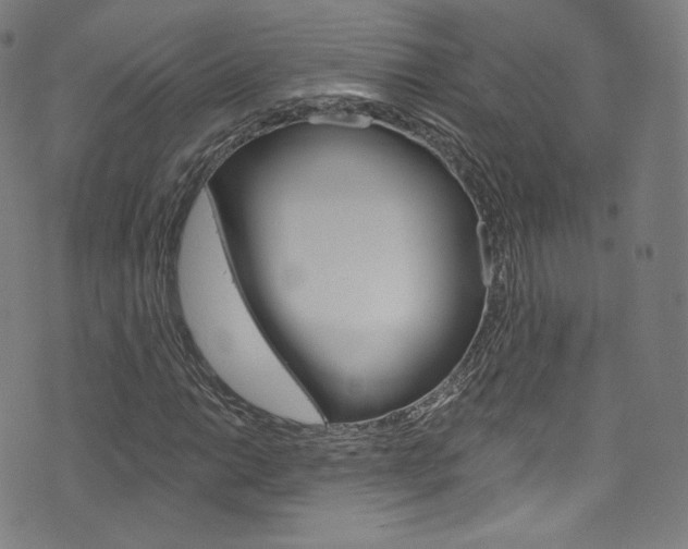 X0000076381014200610060920