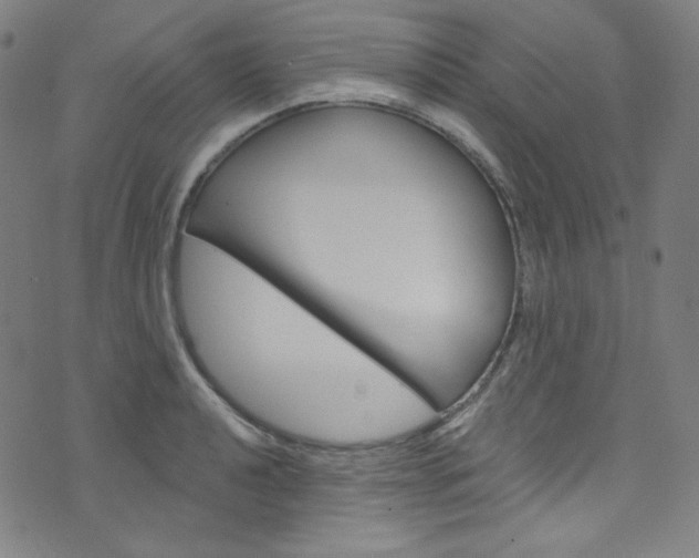 X0000076381040200610060921