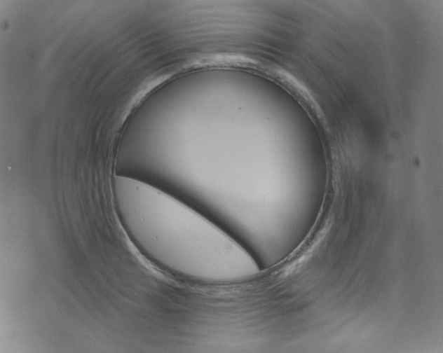 X0000076381041200610060921