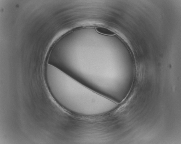 X0000076381045200610060921