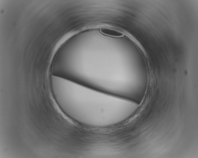 X0000076381053200610060921