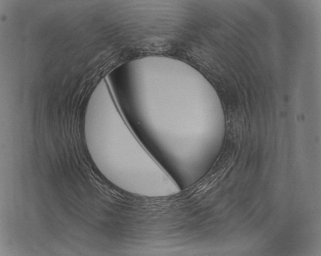 X0000076381058200610060920