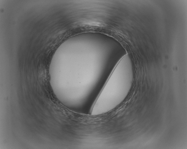 X0000076381061200610060920