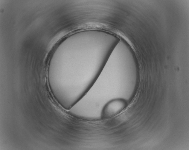 X0000076381075200610060920
