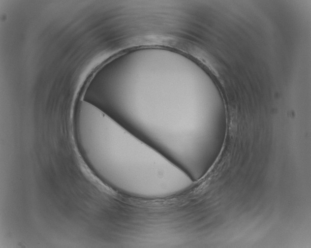 X0000076381080200610060920