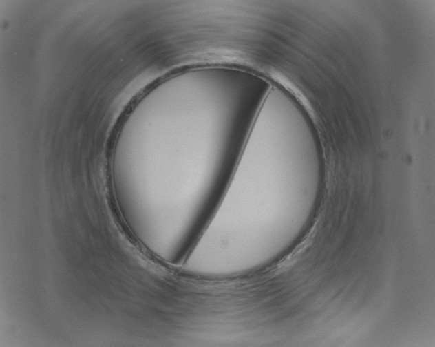 X0000076381085200610060920