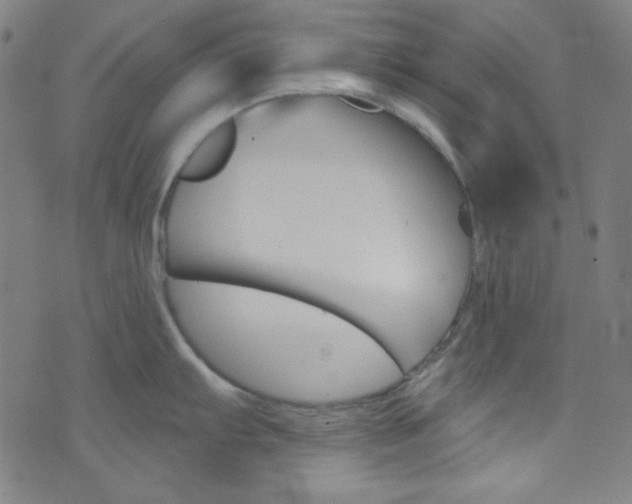 X0000076381103200610060920