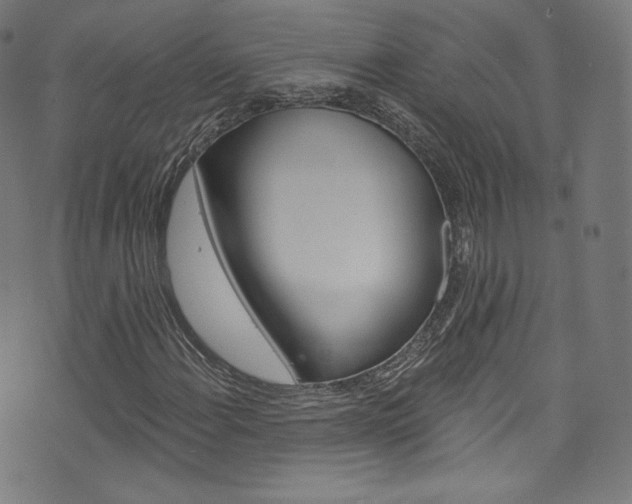 X0000076381108200610060919