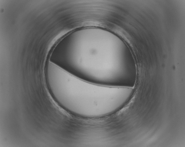X0000076381133200610060919