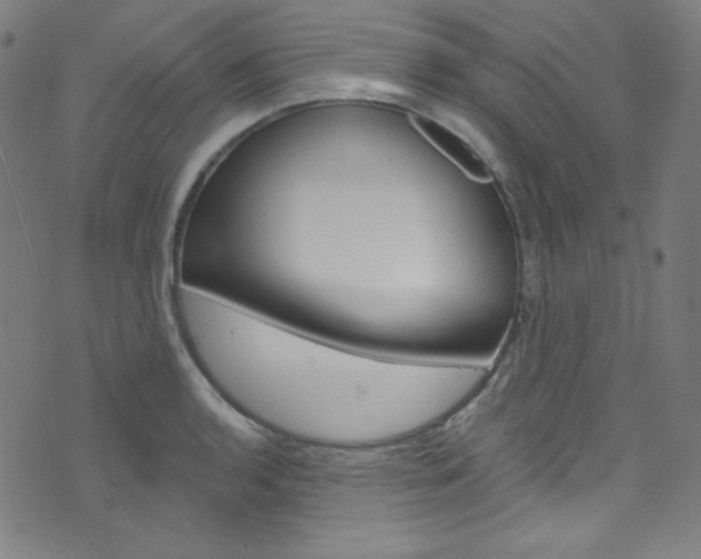 X0000076381136200610060919