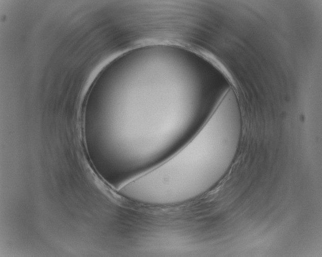 X0000076381148200610060919