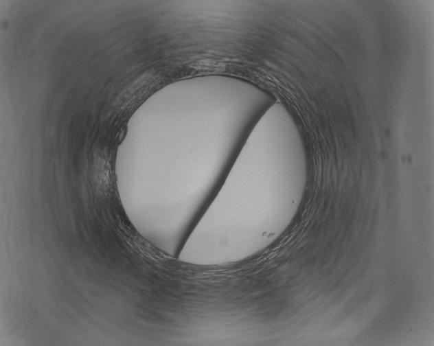 X0000076381154200610060919