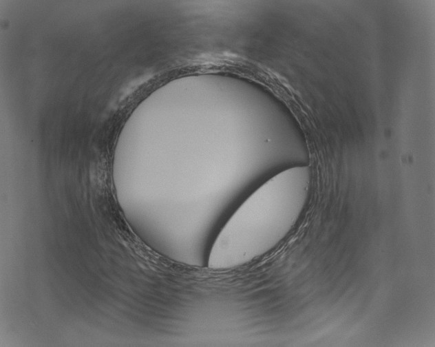 X0000076381158200610060919