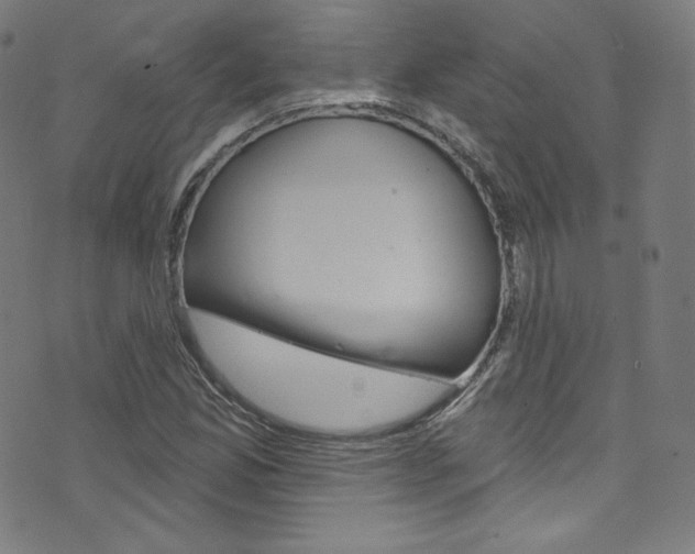 X0000076381165200610060918