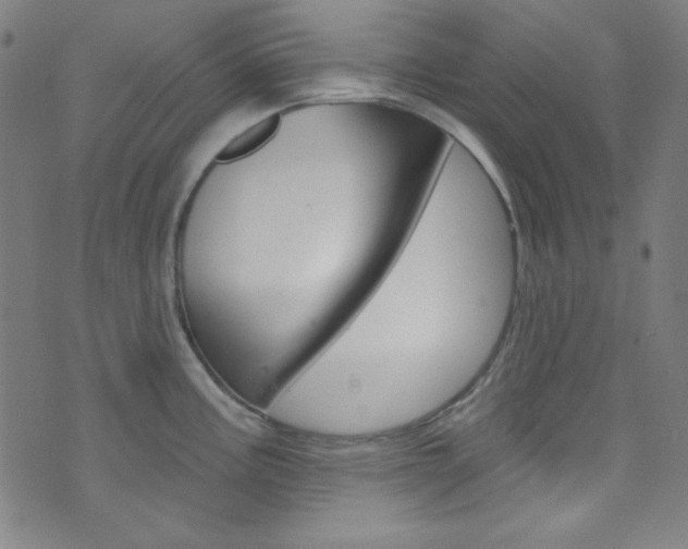 X0000076381195200610060918