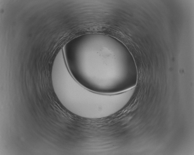 X0000076381202200610060917