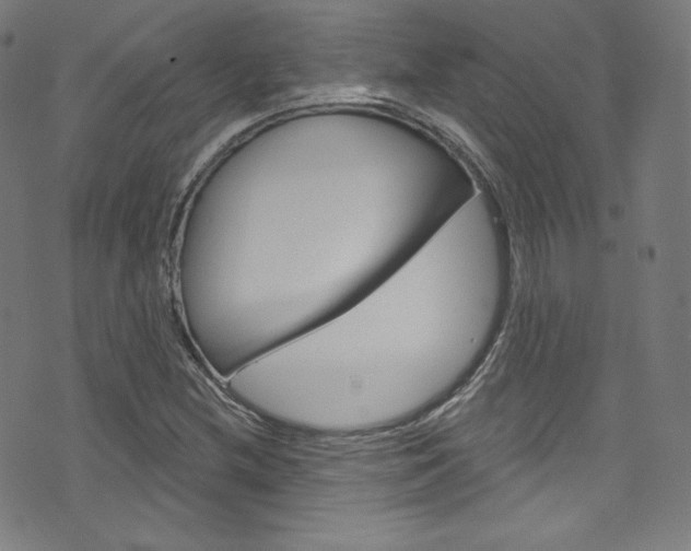 X0000076381212200610060917