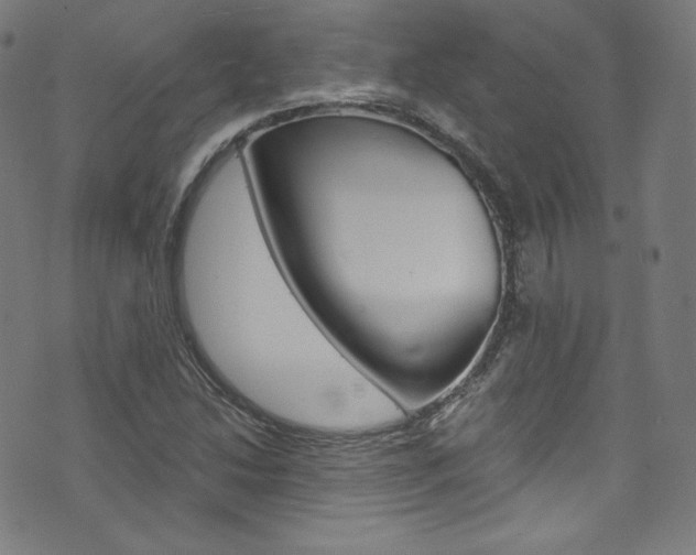 X0000076381214200610060917