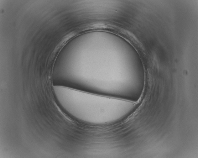X0000076381225200610060918