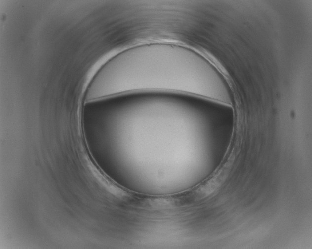 X0000076381246200610060918