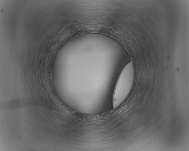 X0000076381249200610060917