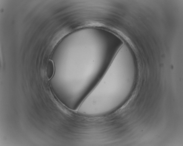 X0000076381281200610060917