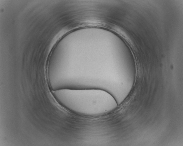 X0000076381283200610060917