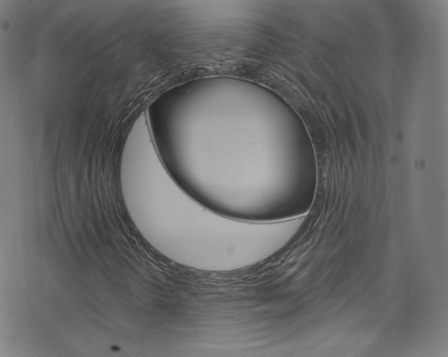X0000076381298200610060915
