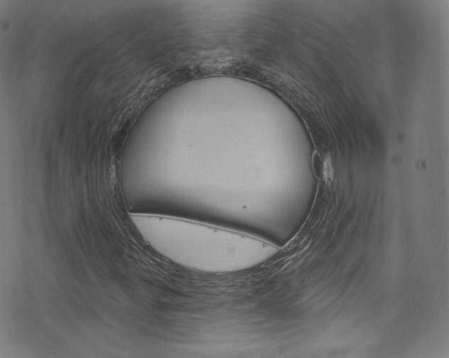 X0000076381299200610060916