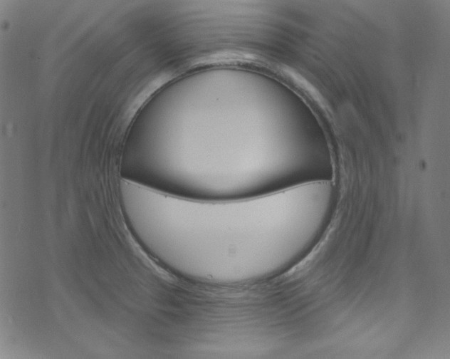 X0000076381329200610060916