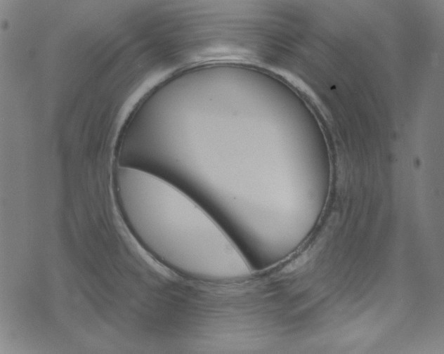 X0000076381333200610060916
