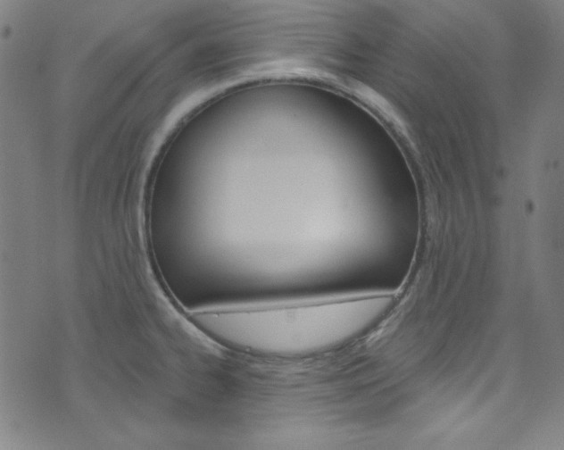X0000076381334200610060916