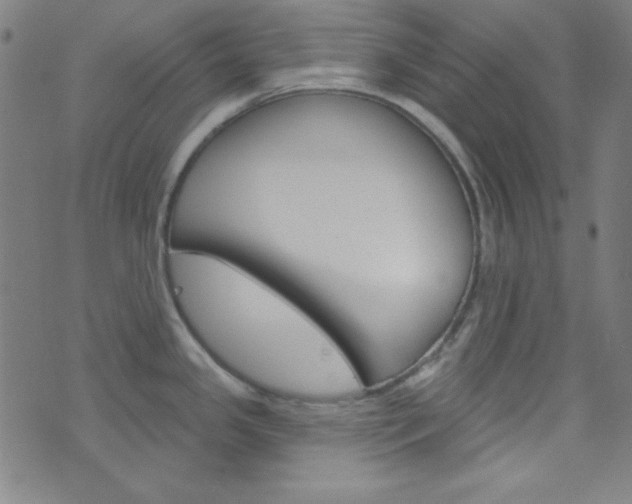 X0000076381341200610060916