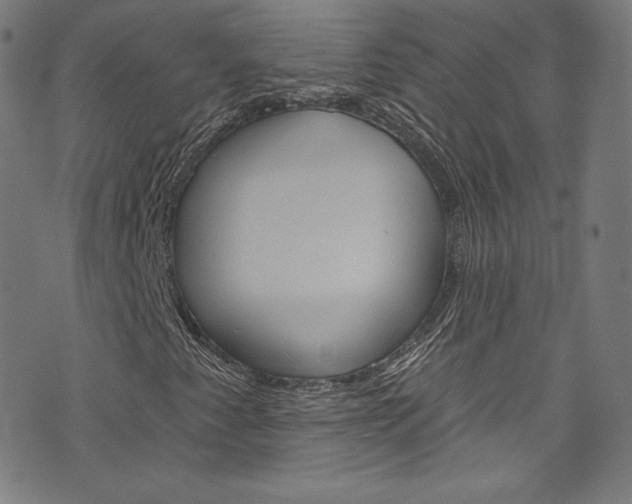 X0000076381345200610060915