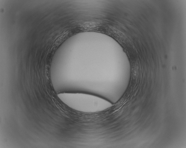 X0000076381346200610060915