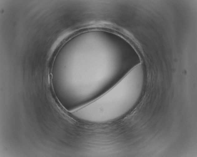 X0000076381368200610060915